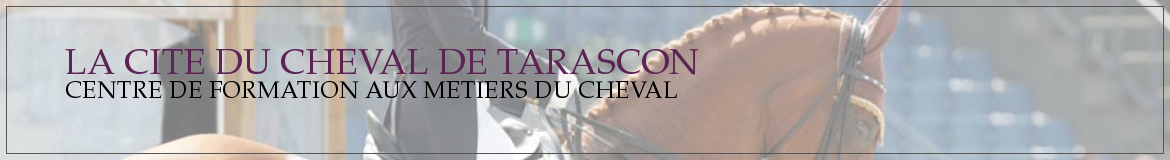 LA CITE DU CHEVAL DE TARASCON